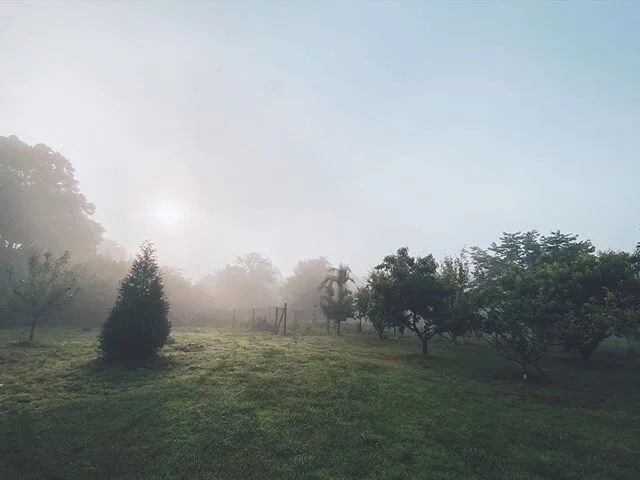 #morningview #fog #ontheriver