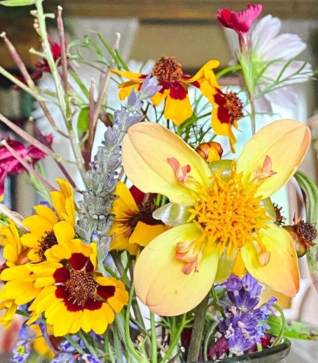 ☀️🌼🌿 sunday&rsquo;s pick 🌿🌼☀️