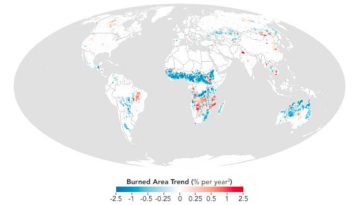 Researchers detect a drop in the total area burnt by fires annually. However, the intensity of fires has increased globally Image: Earth Observatory, NASA