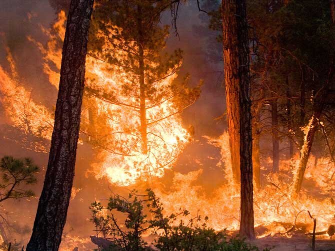 The Whitewater-Baldy Complex wildfire in Gila National Forest, New Mexico, as it burned on June 6th, 2012. Scientists calculate that high fire years like 2012 are likely to occur two to four times per decade by mid-century, instead of once per decade under current climate conditions. Image : Kari Greer/USFS Gila National Forest