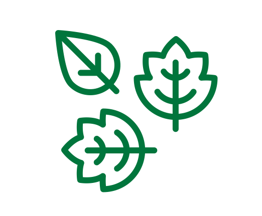 Green_Leaves1.png