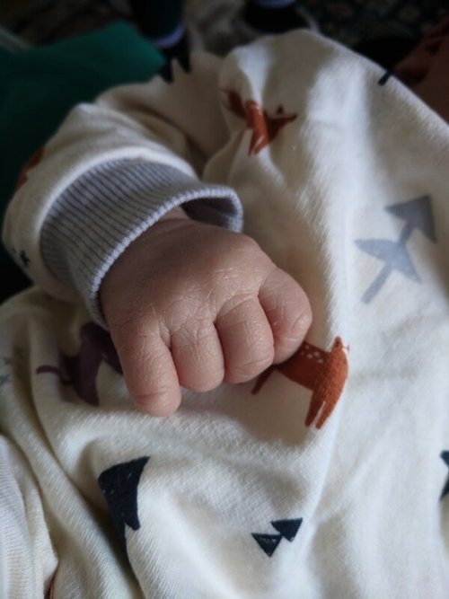 Are reusable cloth nappies more environmentally friendly than