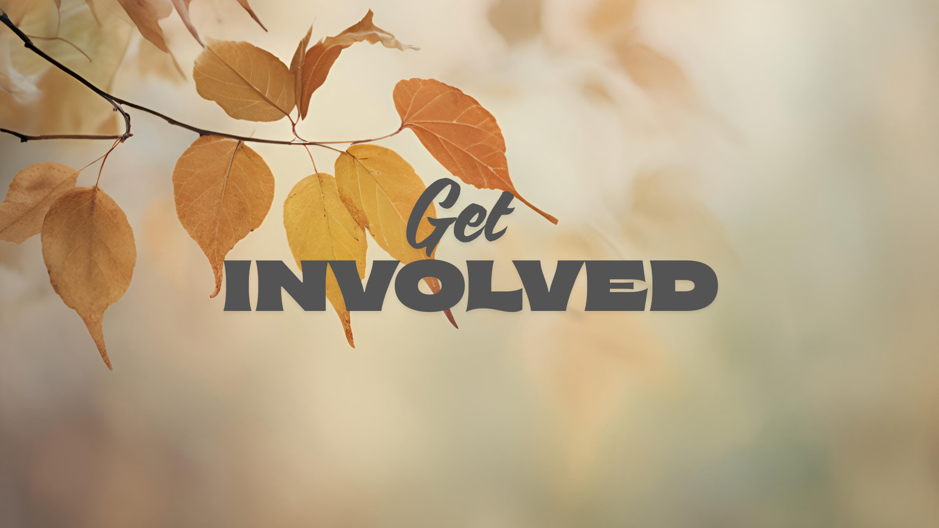 Get involved.png