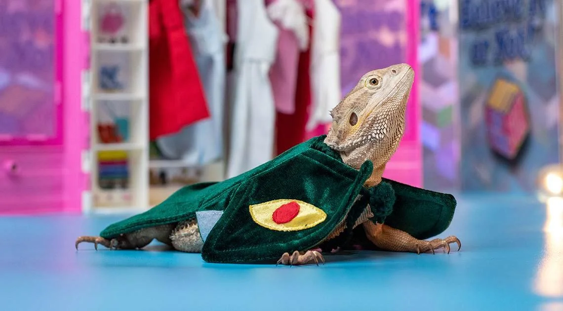 Fashion Brand Company for Ripley's Believe it or Not