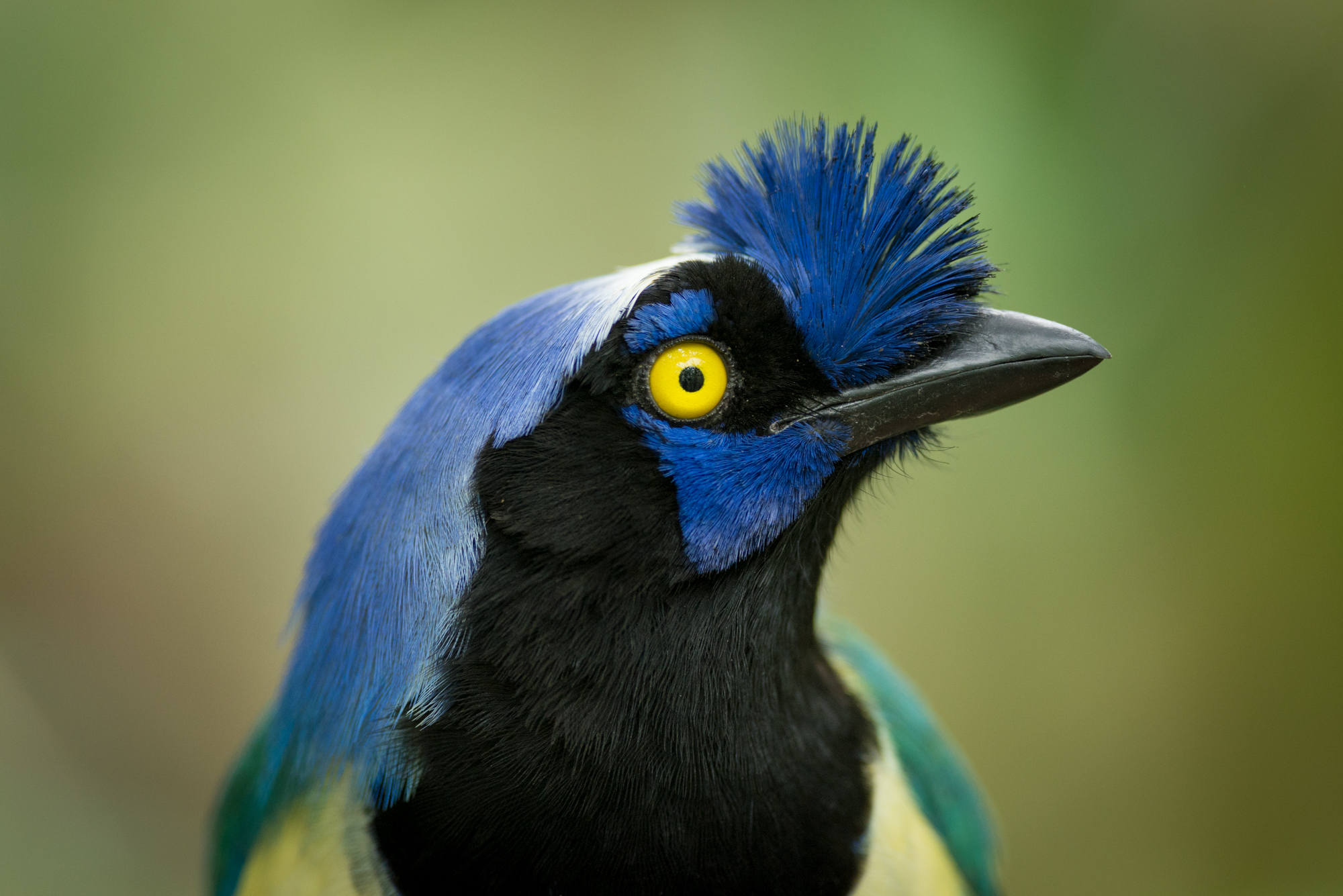 DSC_2562.jpg