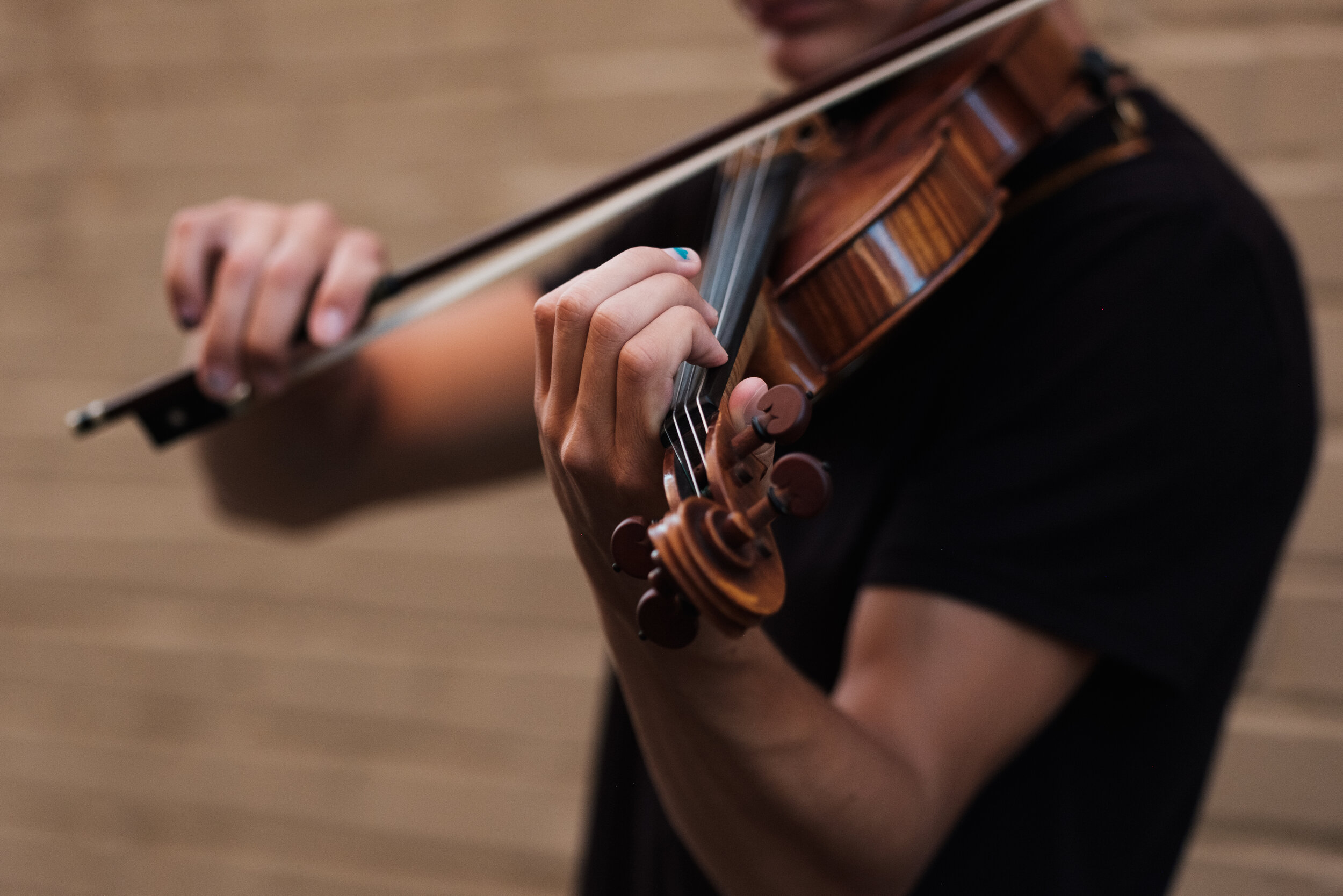 Violin Workshops