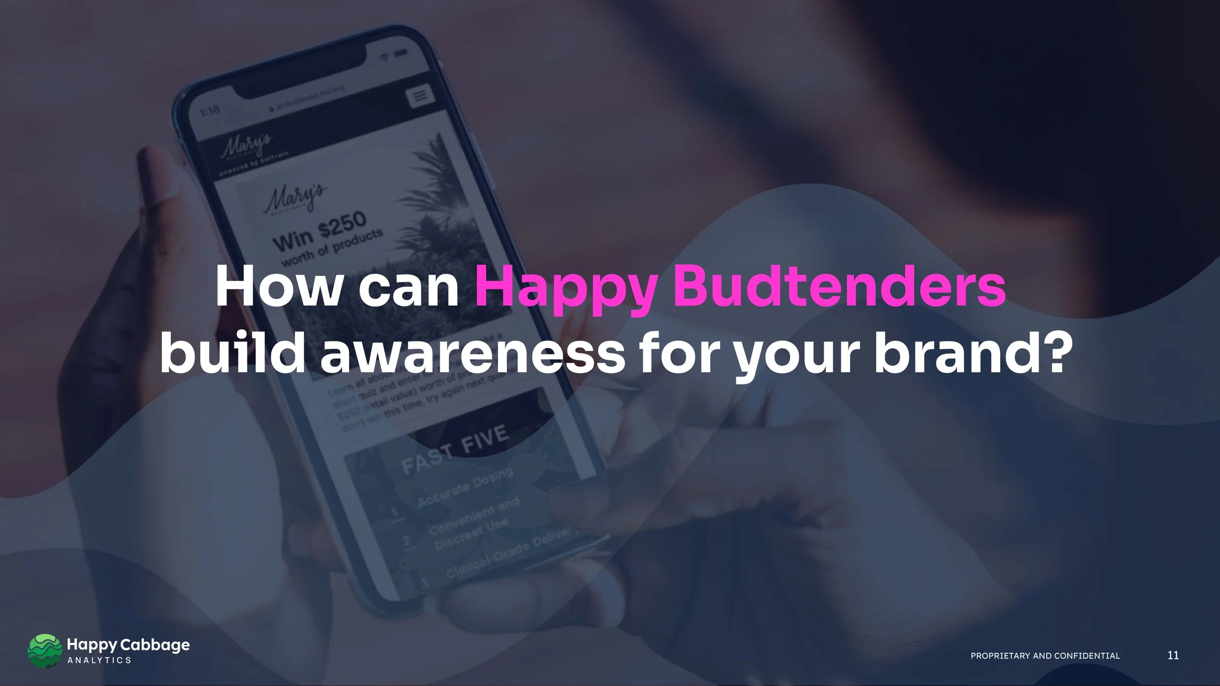 Happy Budtenders Sales Deck 2024_Page_11.jpg