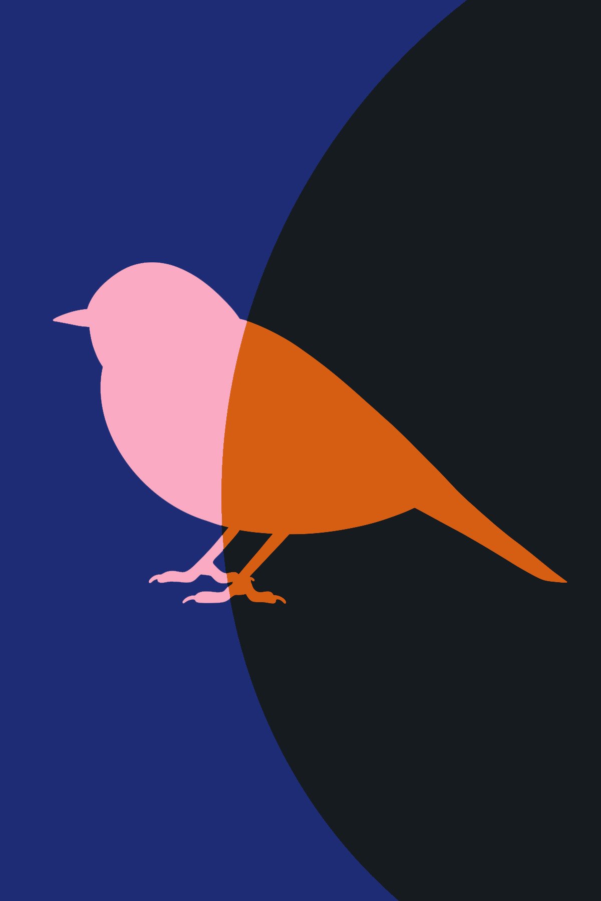 Finch.jpg