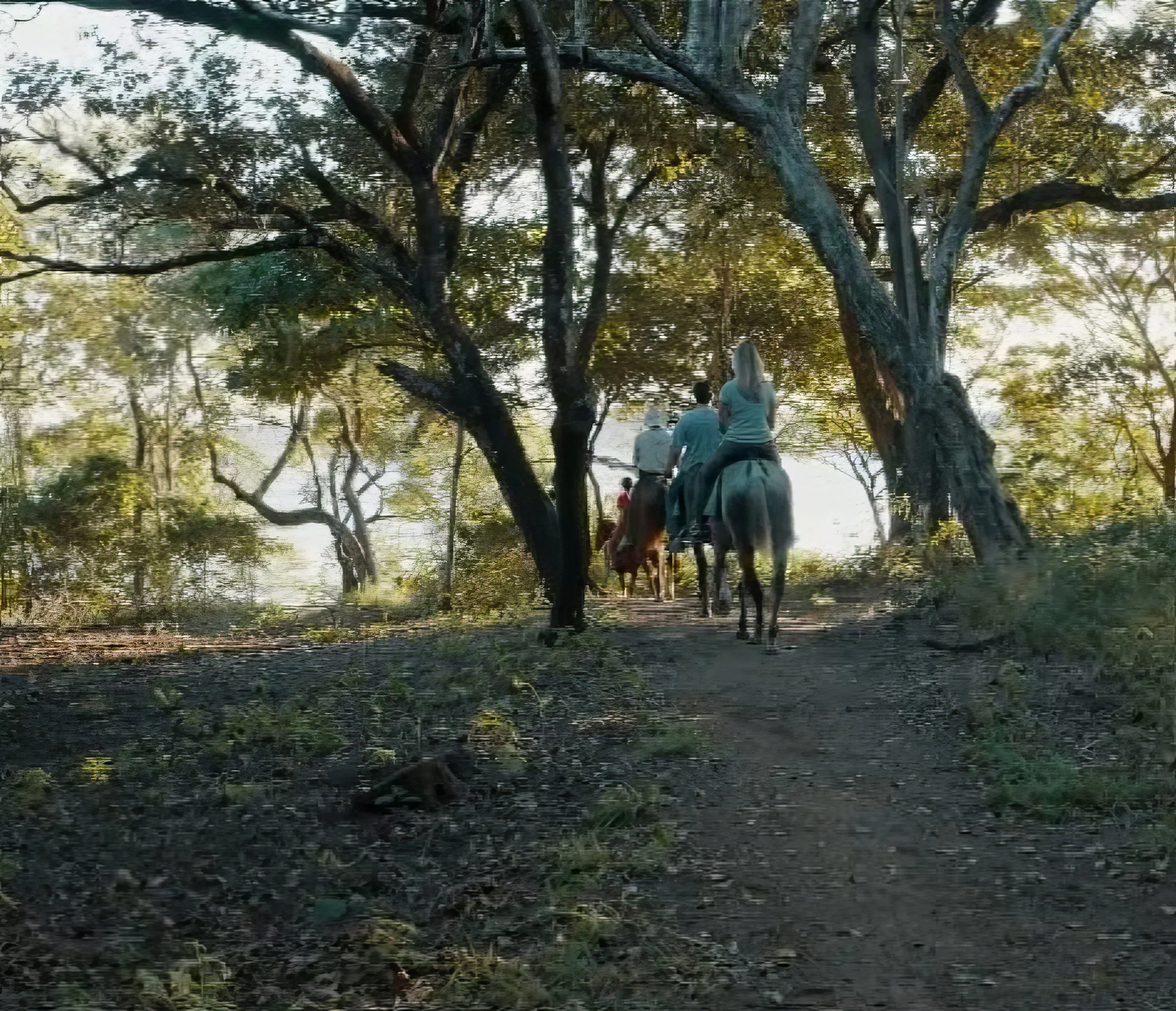 Horseback Riding-VA.jpeg