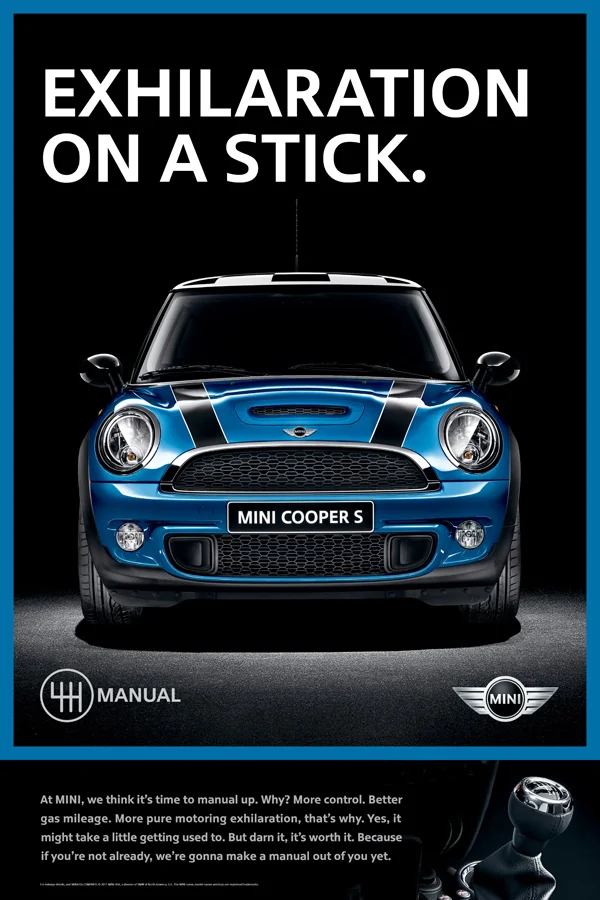 MINI EXHILARATION ON A STICK.jpg