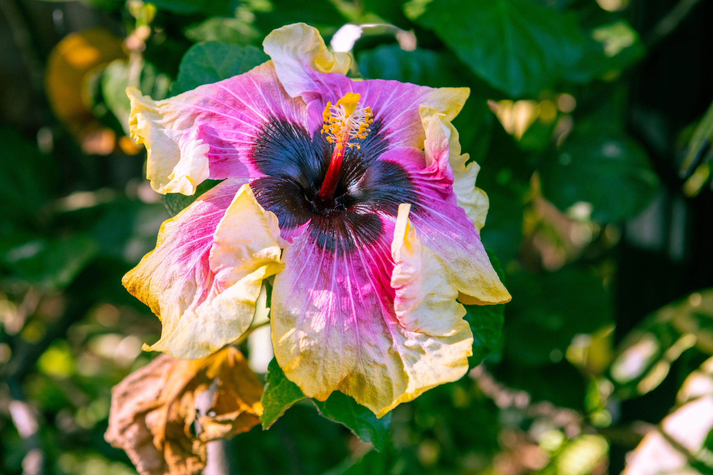 San Diego Best Sized for web 1-93.jpg