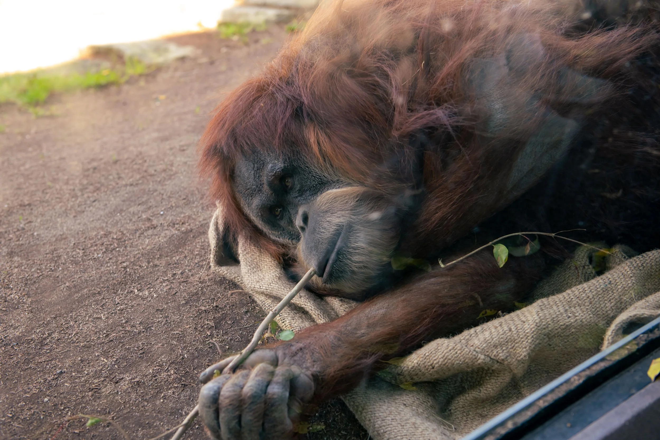 San Diego Best Sized for web 1-97.jpg