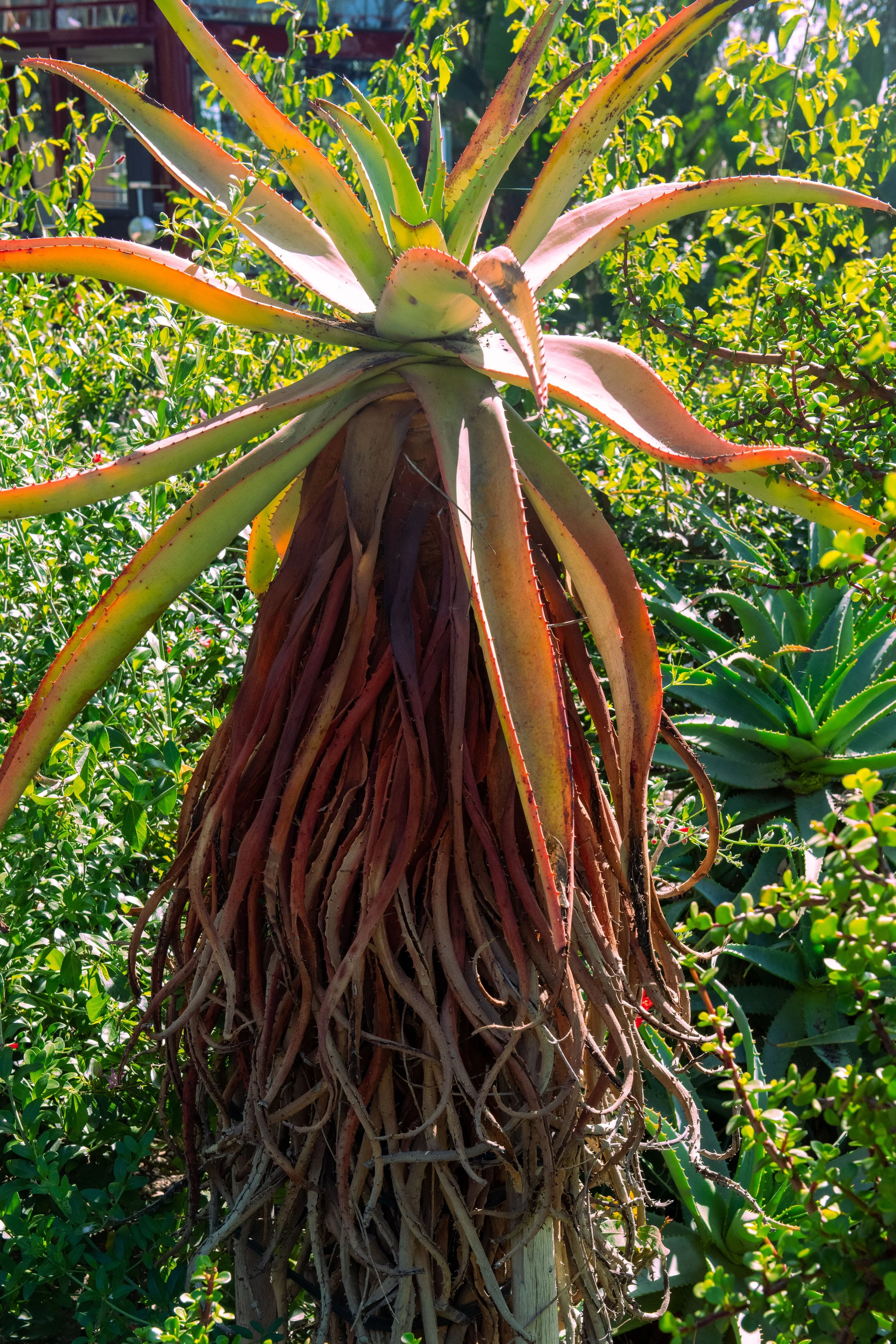 San Diego Best Sized for web 1-78.jpg