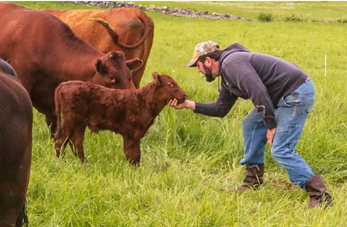 Vermont Alpine Farm