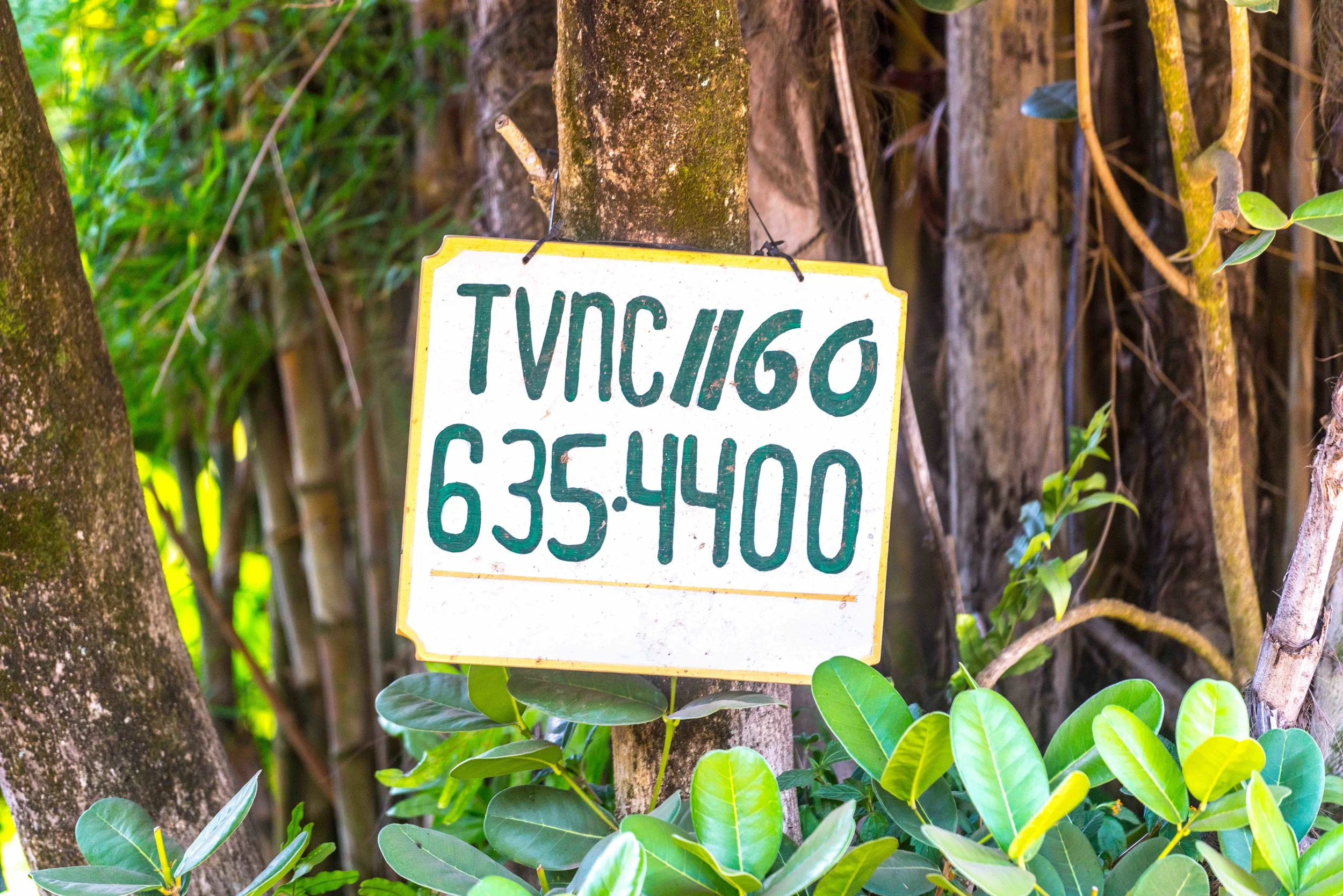 kauaivacationrental_1.jpeg