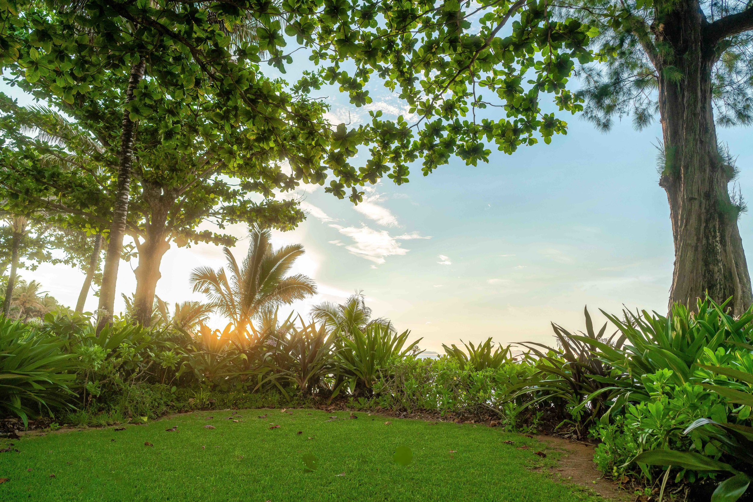 Beachfront Rental Kauai