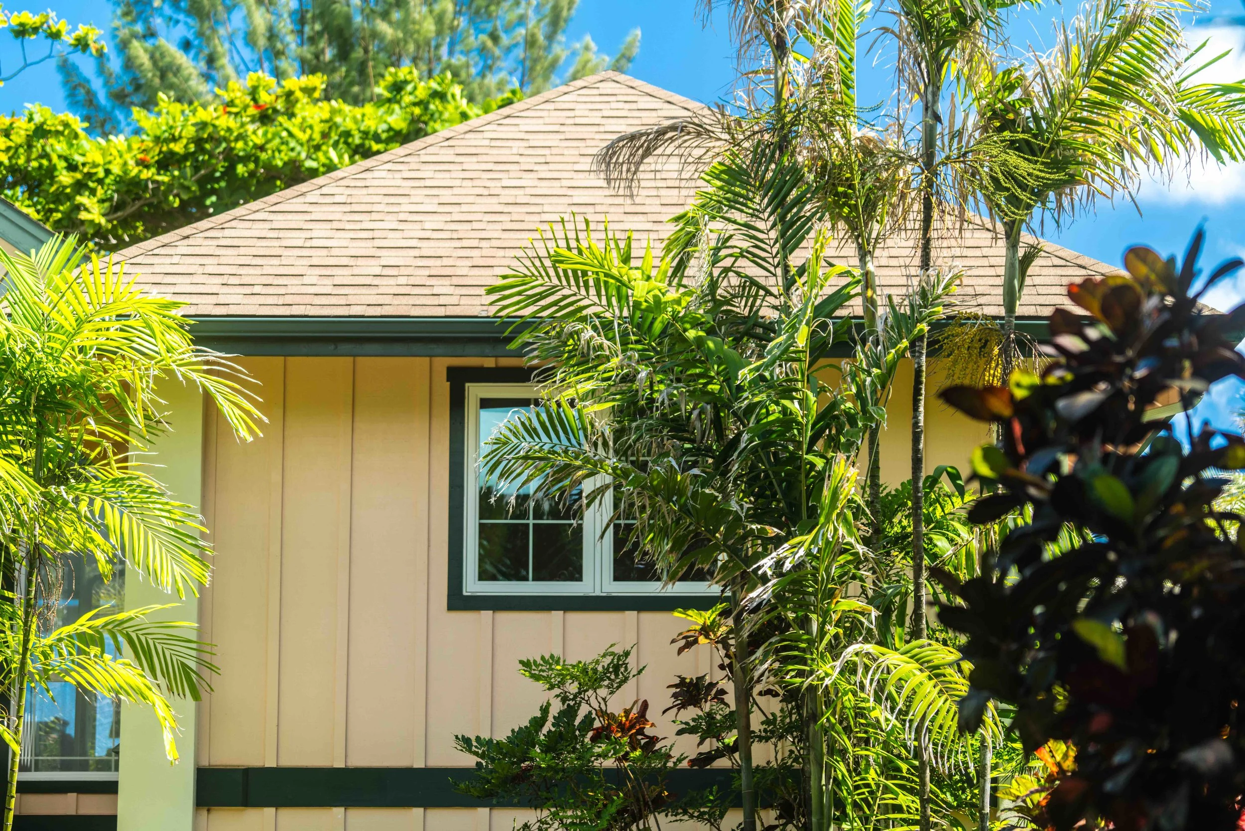 Hawaii AirBnB