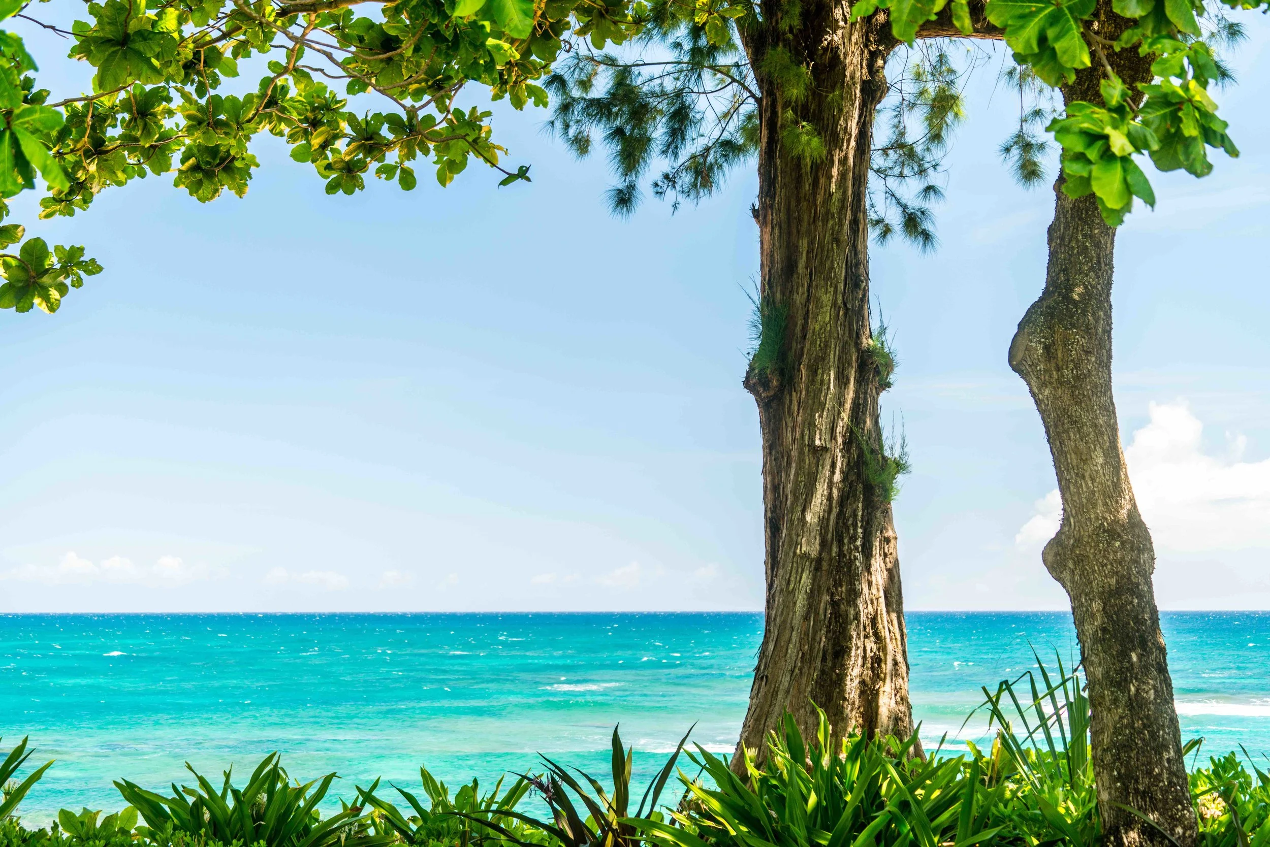 North Shore Kauai Vacation Rental