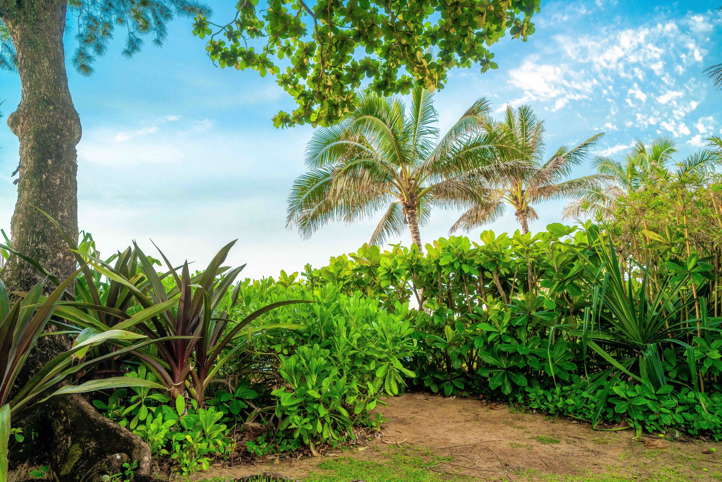 Beachfront Rental Hawaii