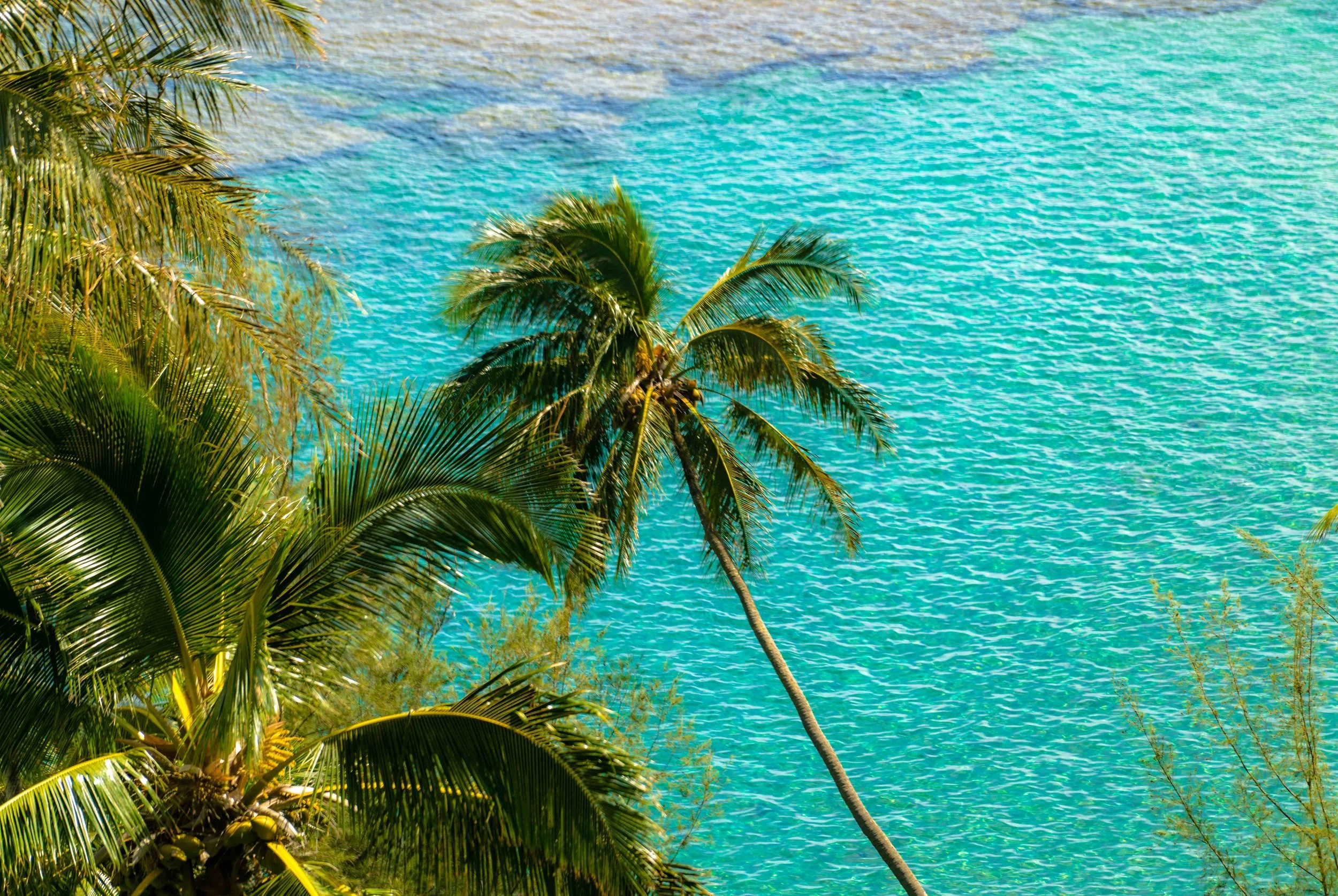 Beachfront Rental Kauai