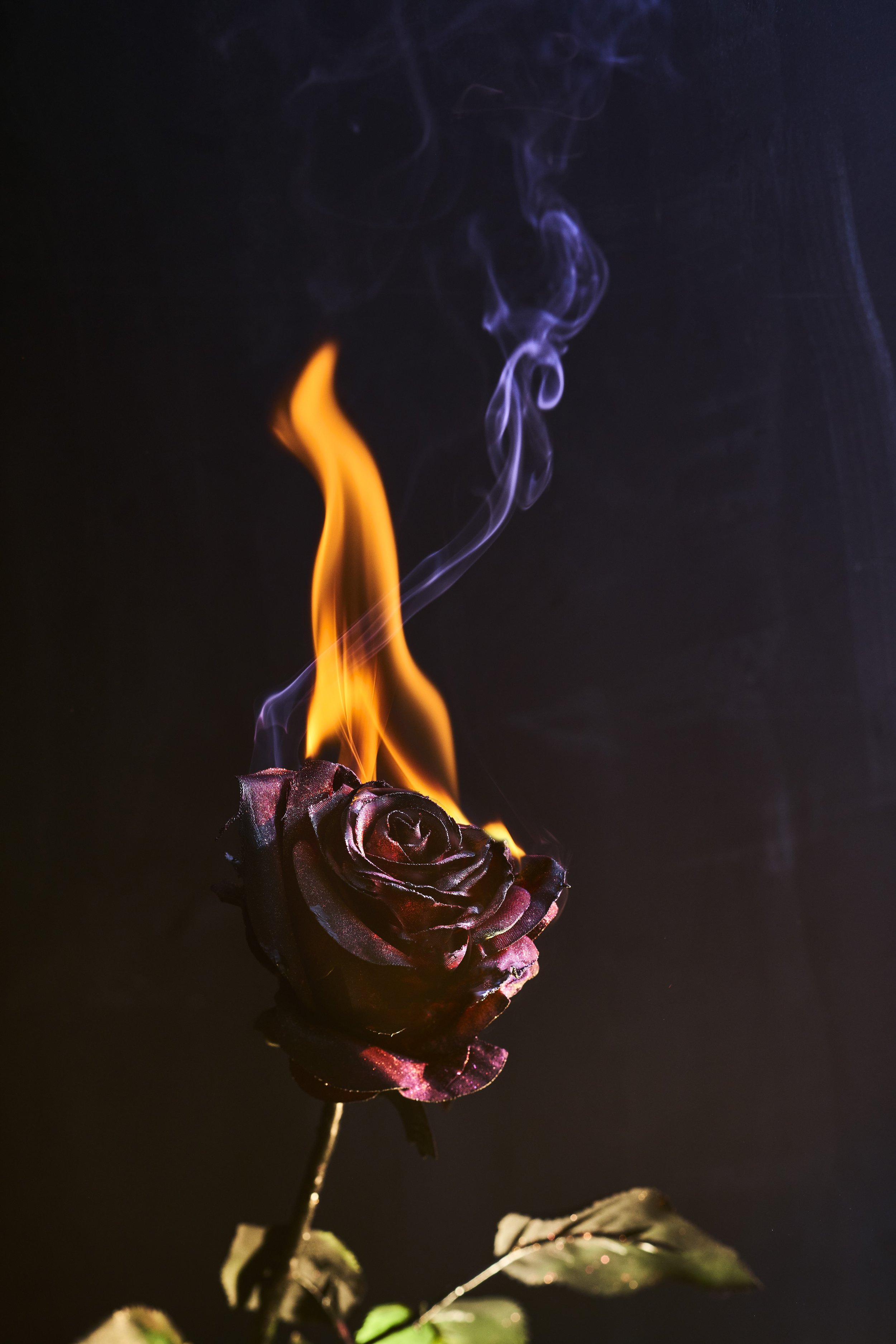 221101_ftd_shot_07_burning_flower_069.jpg