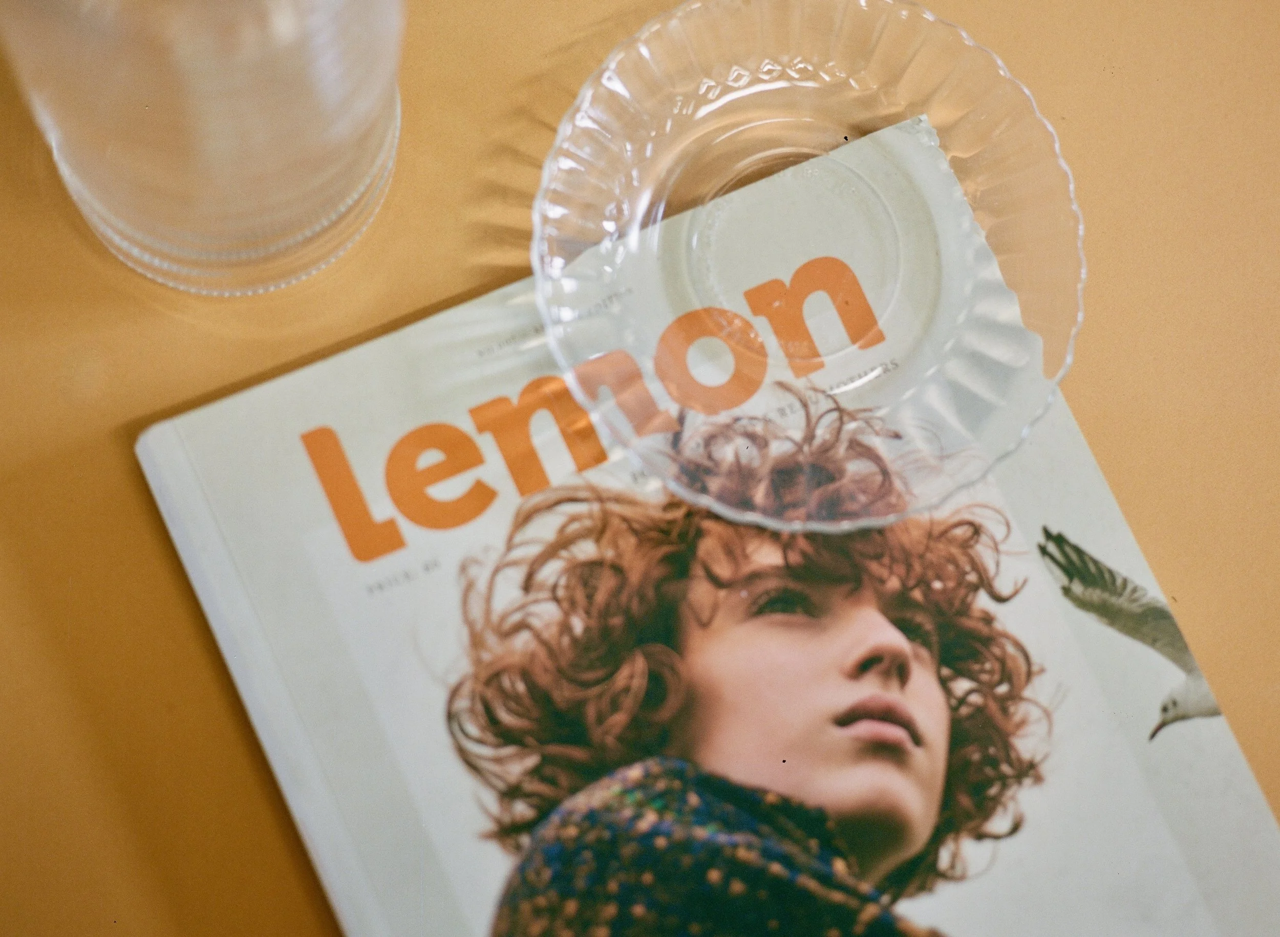 Photo Feb 07 2026, 5 05 05 PM (5).jpg