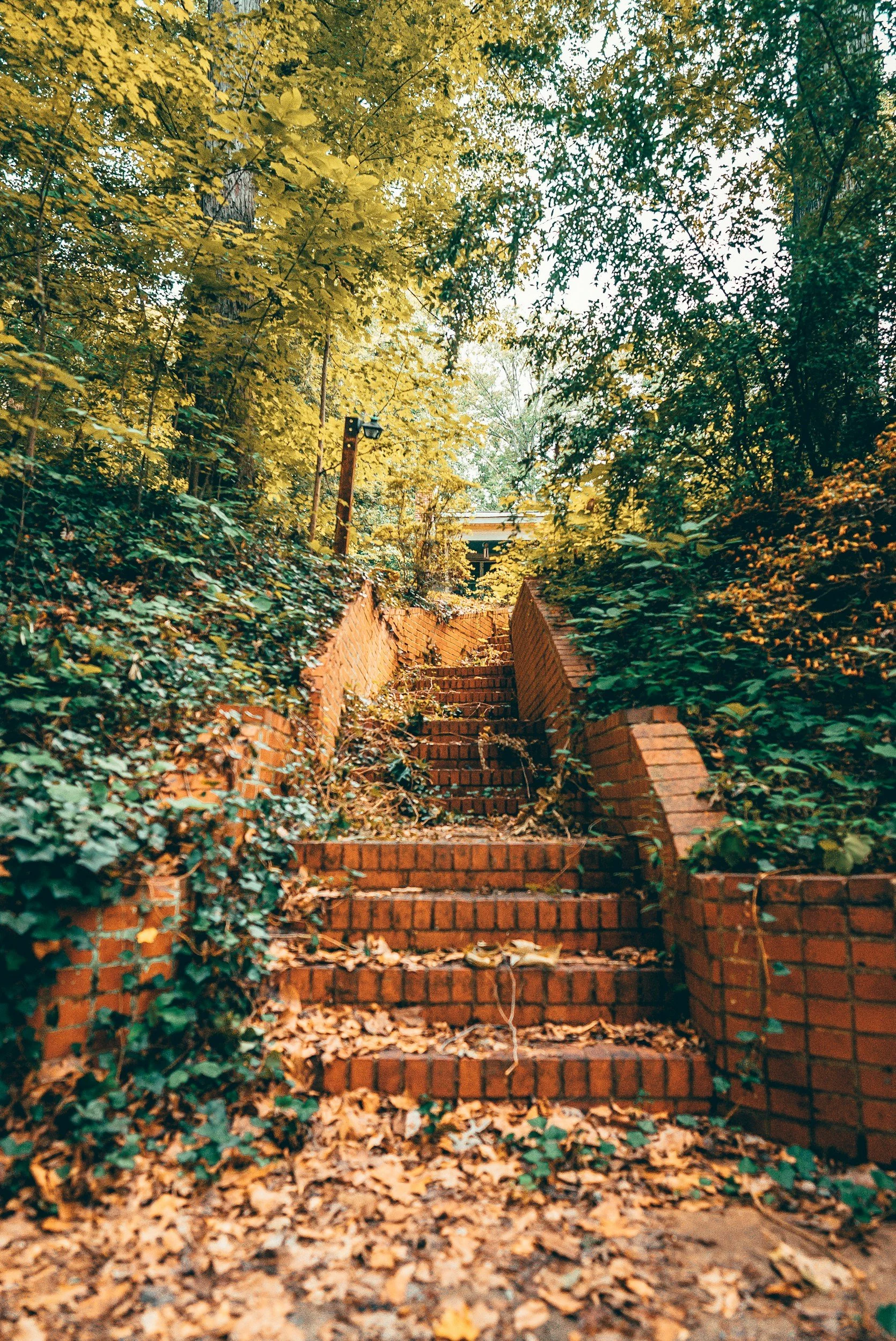 The Woman at the Well and the 12 Steps