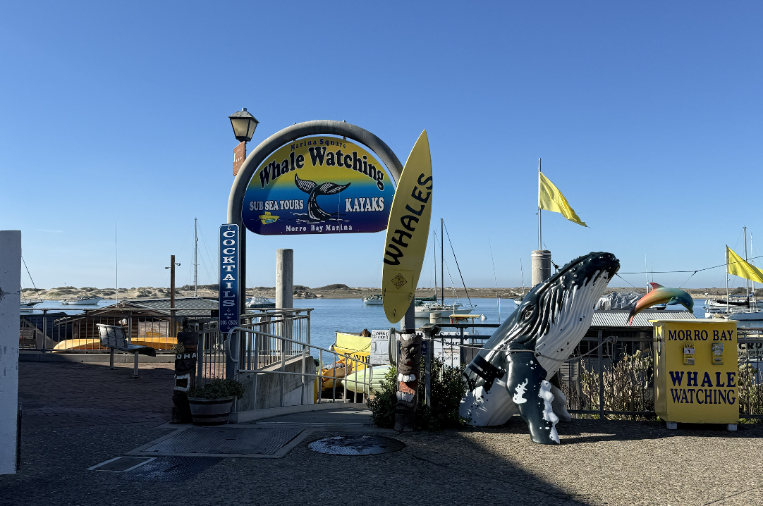Morro Bay Whale Watching and Sub Sea Tours sign in Morro Bay, California