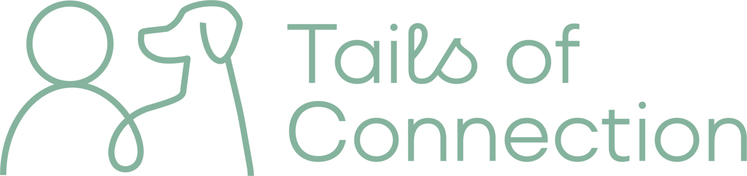 Tails of Connection - How to connect with my dog, online dog training, strengthen your bond, dog owners    