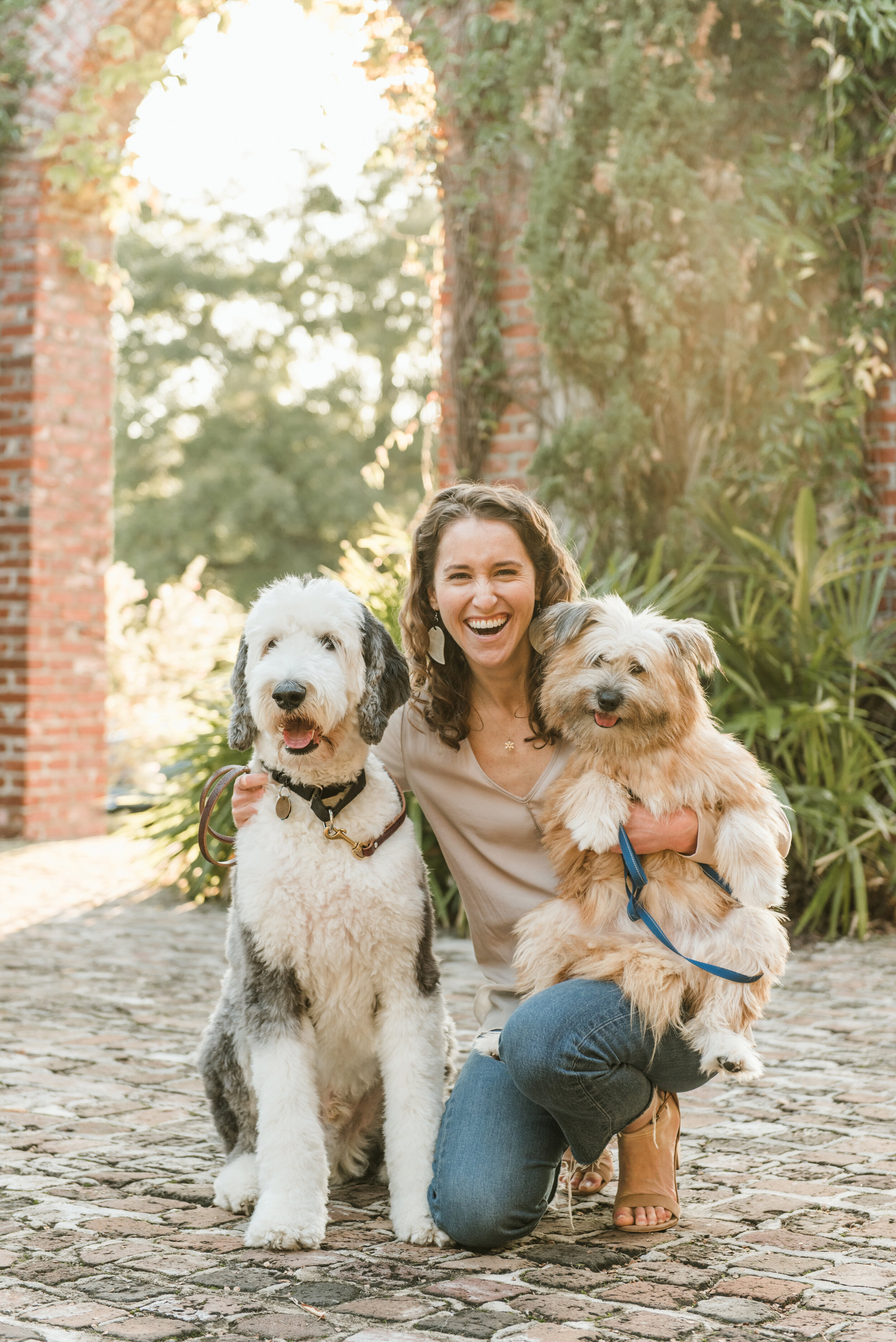 The Life-Changing Magic of Dog Enrichment — Tails of Connection - How to  connect with my dog, online dog training, strengthen your bond, dog owners