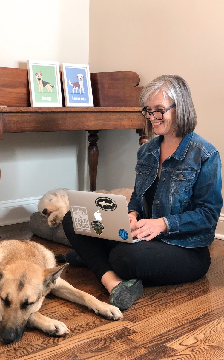 5 Items To Keep Your Dog Busy While You're On Conference Calls - DogTime