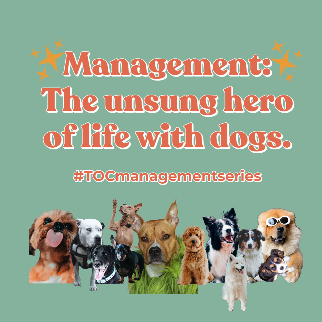 Management The Fastest Way To Train Your Dog To Stop Jumping Counter Surfing And More Tails Of Connection How To Connect With My Dog Online Dog Training Strengthen Your Bond