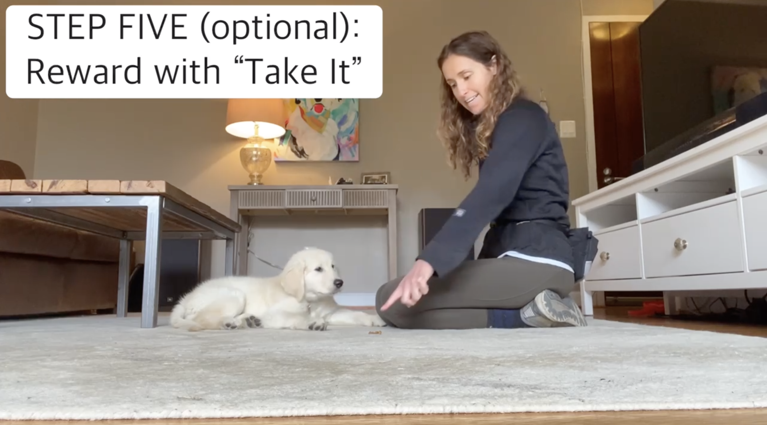 The Life-Changing Magic of Dog Enrichment — Tails of Connection - How to  connect with my dog, online dog training, strengthen your bond, dog owners