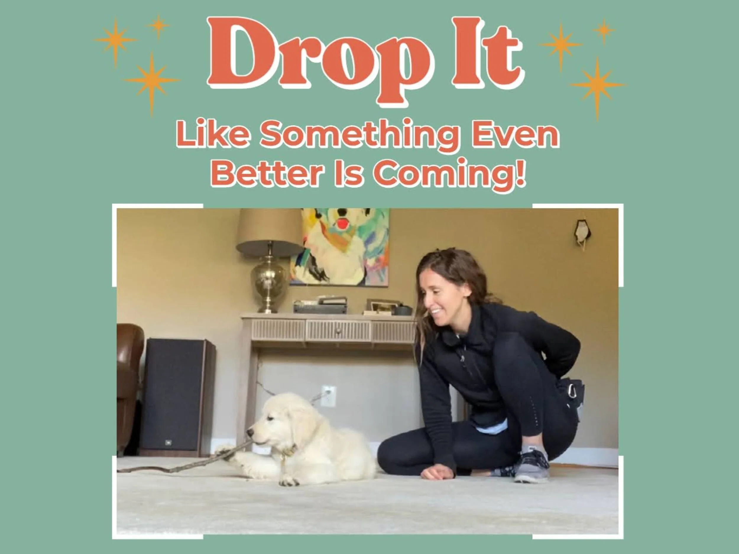 How to Teach Your Dog to Drop It — Tails of Connection How to connect