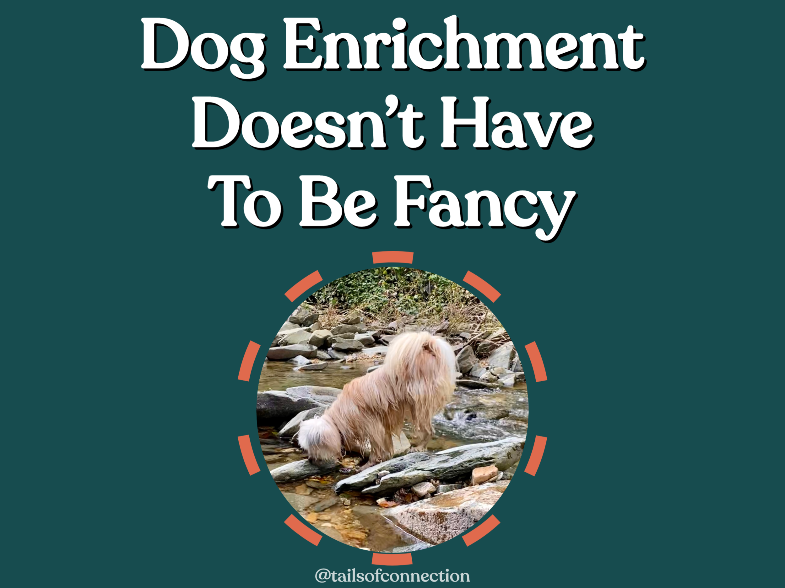 The Life-Changing Magic of Dog Enrichment — Tails of Connection - How to  connect with my dog, online dog training, strengthen your bond, dog owners