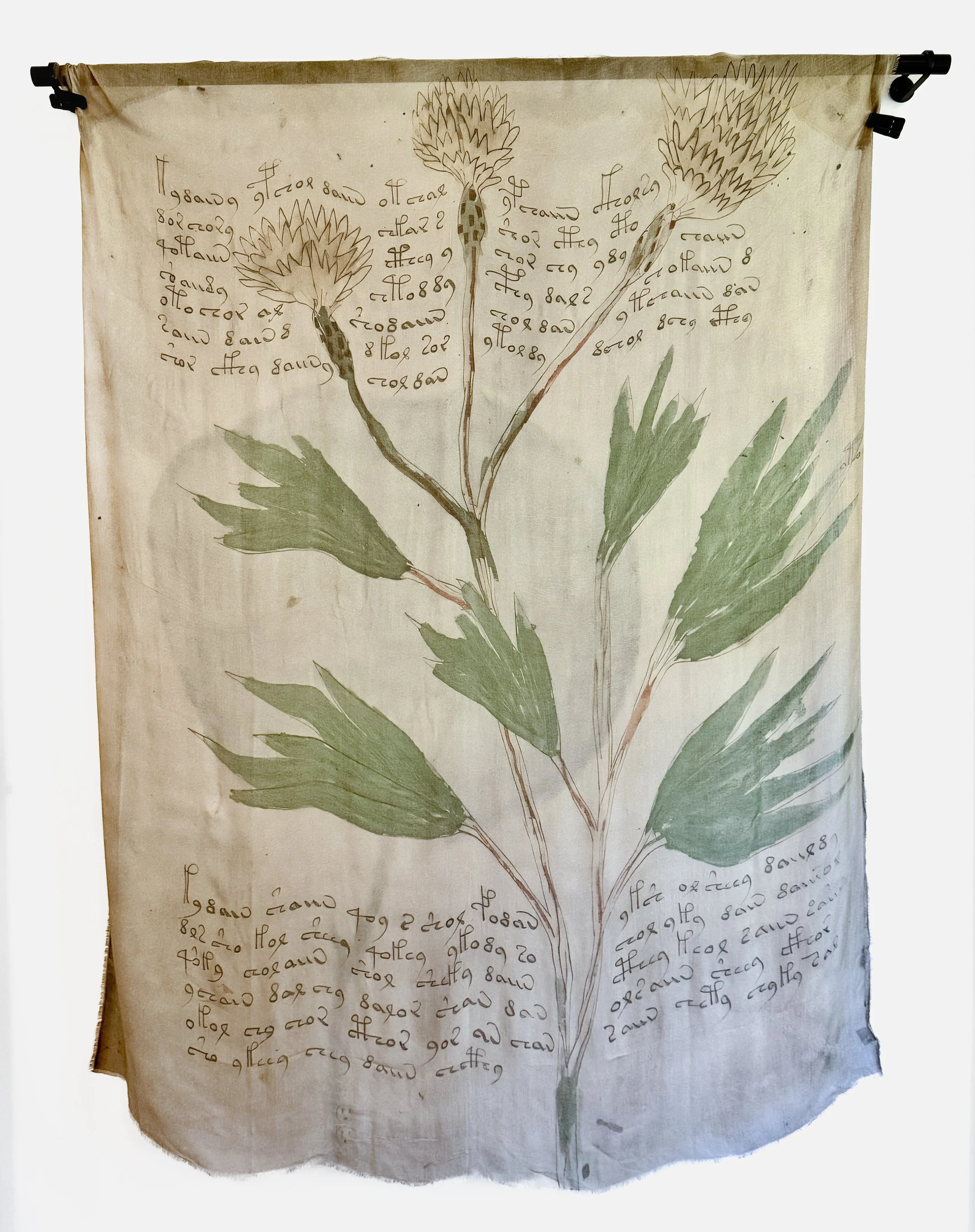 IMG_8617 adjusted 9.14.25  copy.jpg