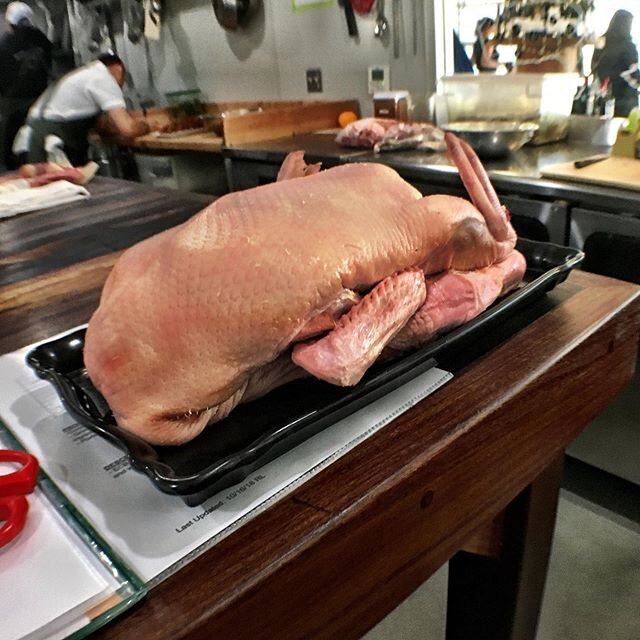 Duck is on deck!
Only two left, so be sure to give us a call to reserve if you&rsquo;ve been missing out on this culinary treat from @liberty_ducks!

#ElectricCityButcher #DTSA #ButchersDoItBetter