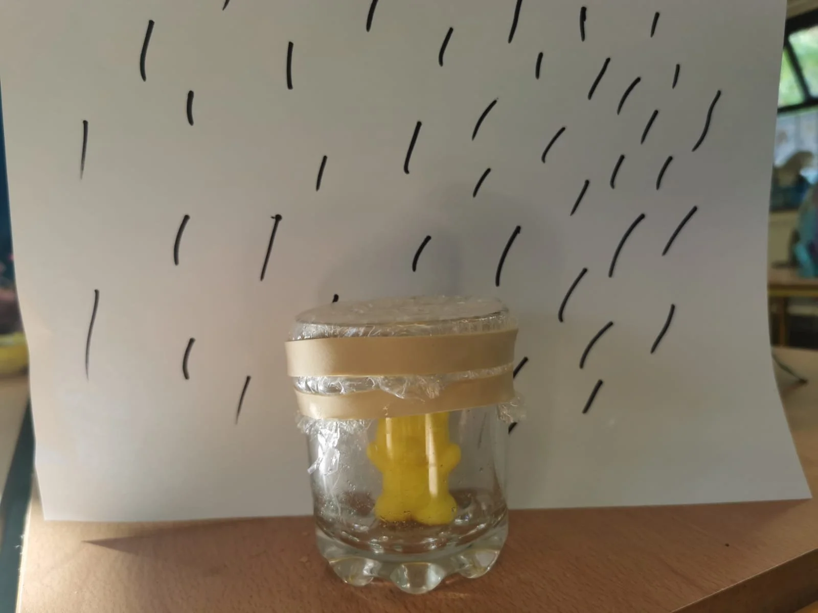 Teddy Experiment in Senior Infants 