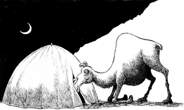 The Camel's Nose
