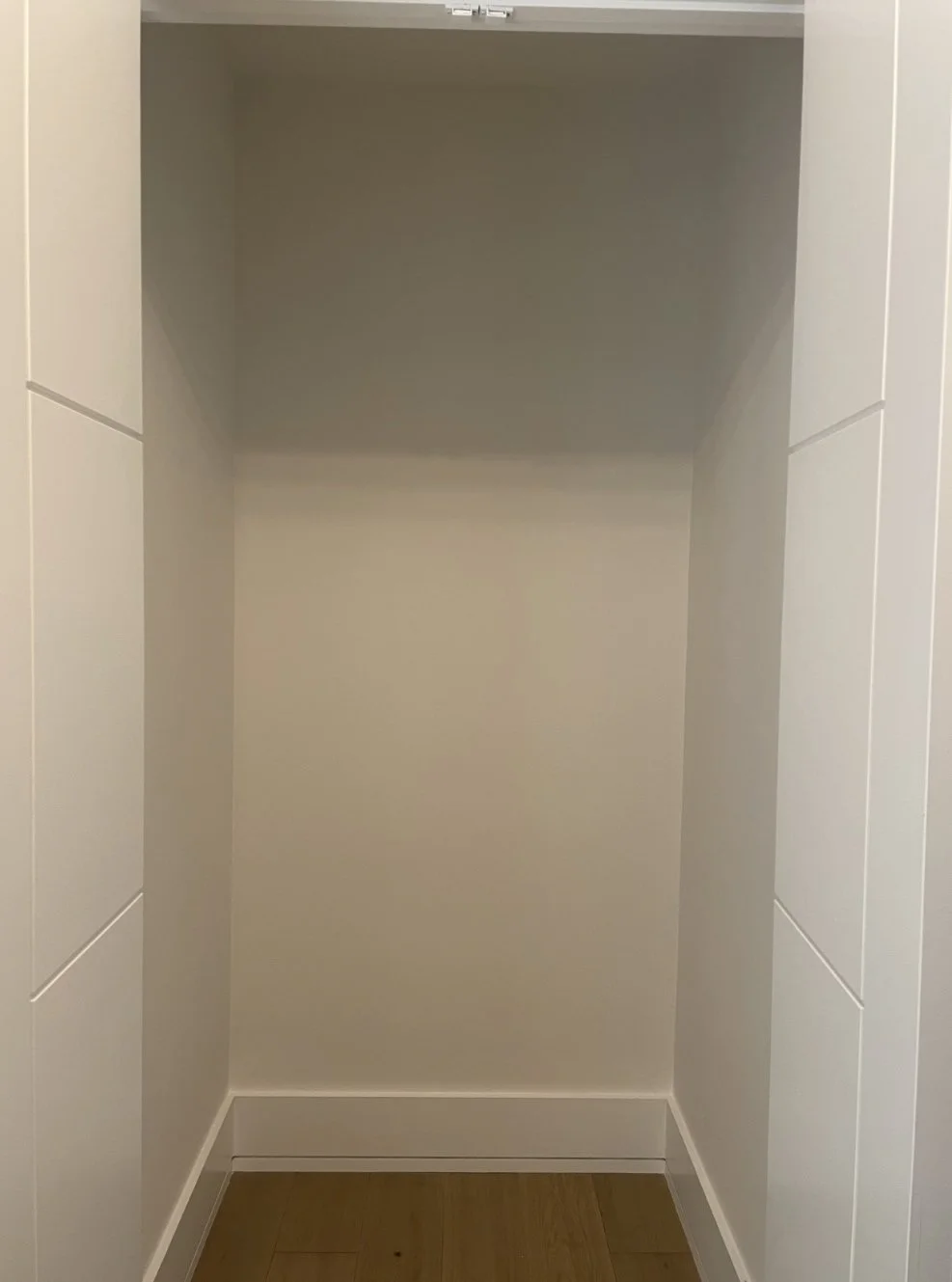 Front Hall Walk-in Before