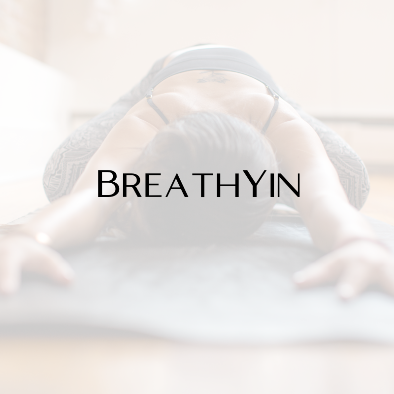 BreathYin Thursday 11/14