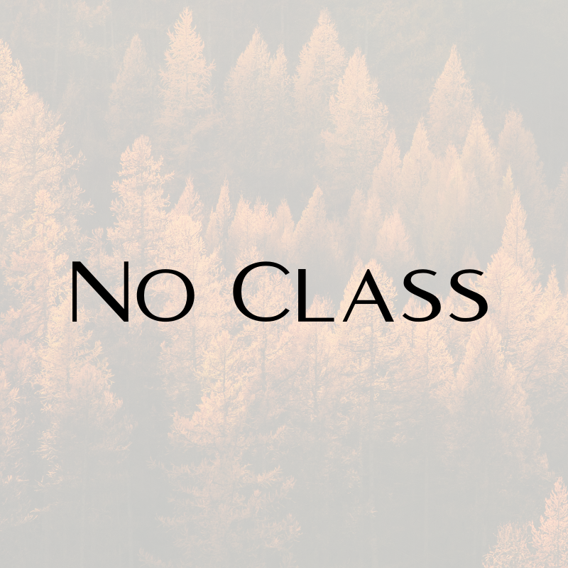 NO CLASS - Happy Thanksgiving!