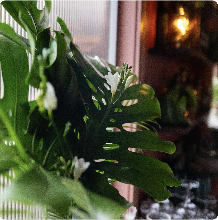 Exhale: A Return to Ease