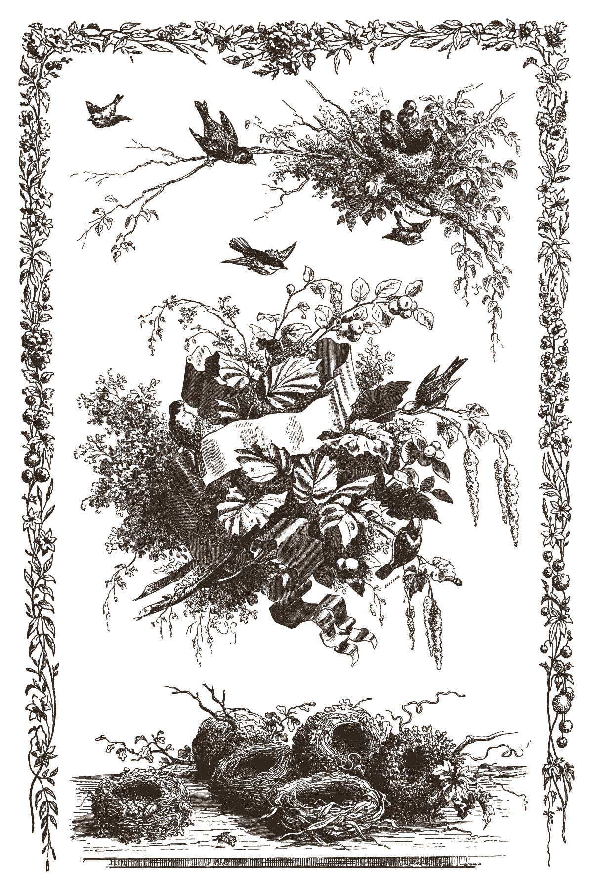 IOD-INL-LIT Little Lark artwork-01.jpg