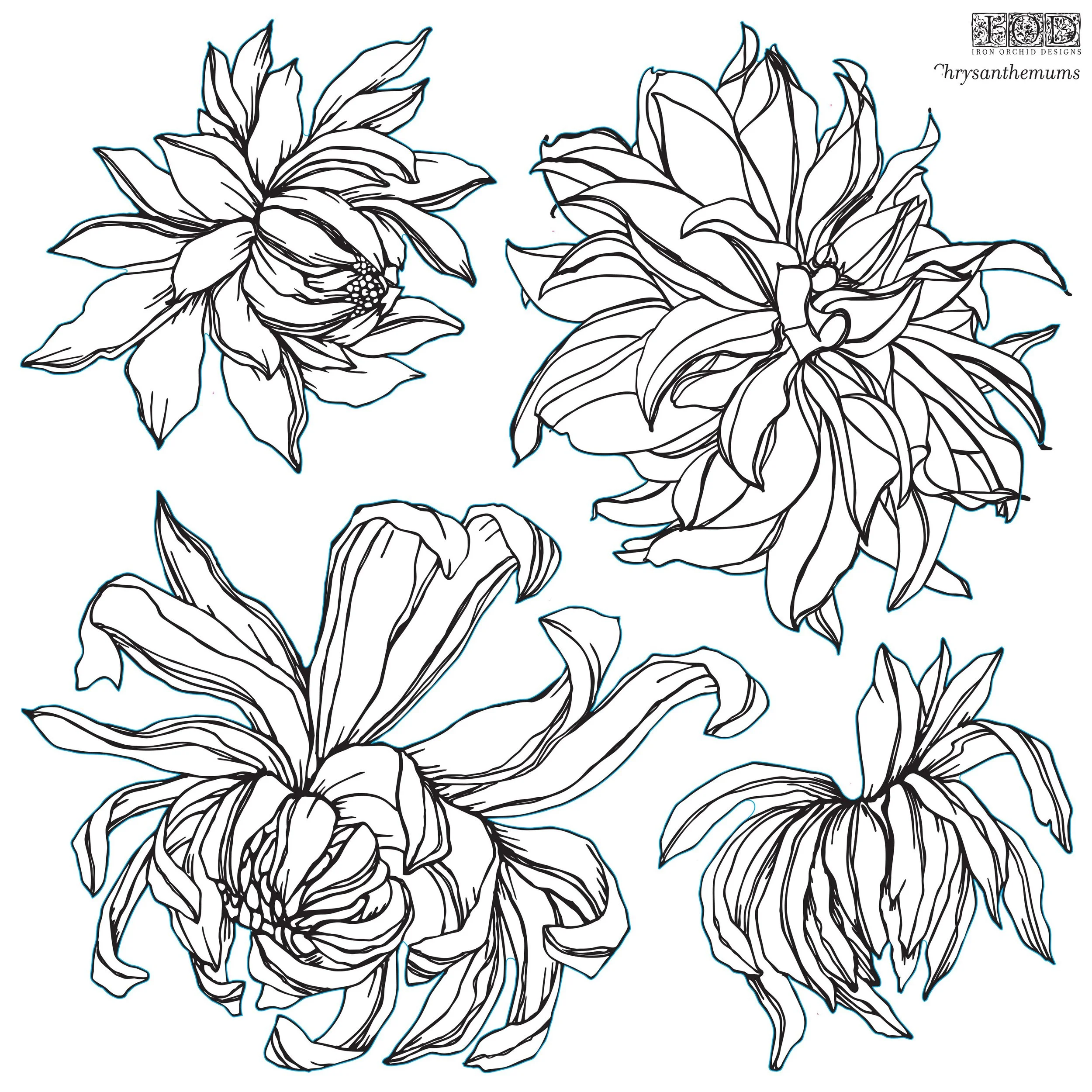Chrysanthemum IOD Stamp *