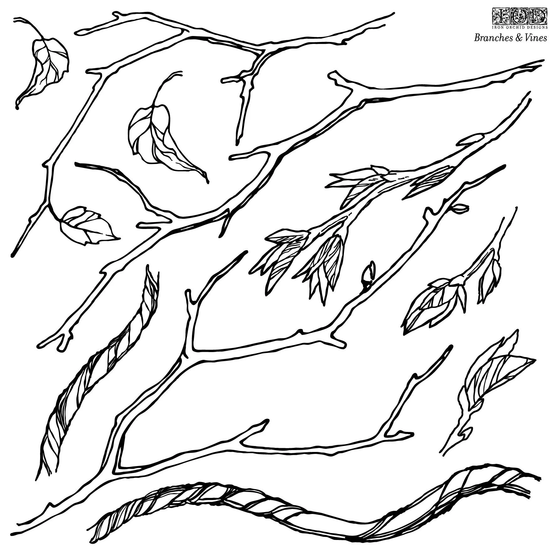 BRANCHES and VINES 12×12 IOD STAMP™ *