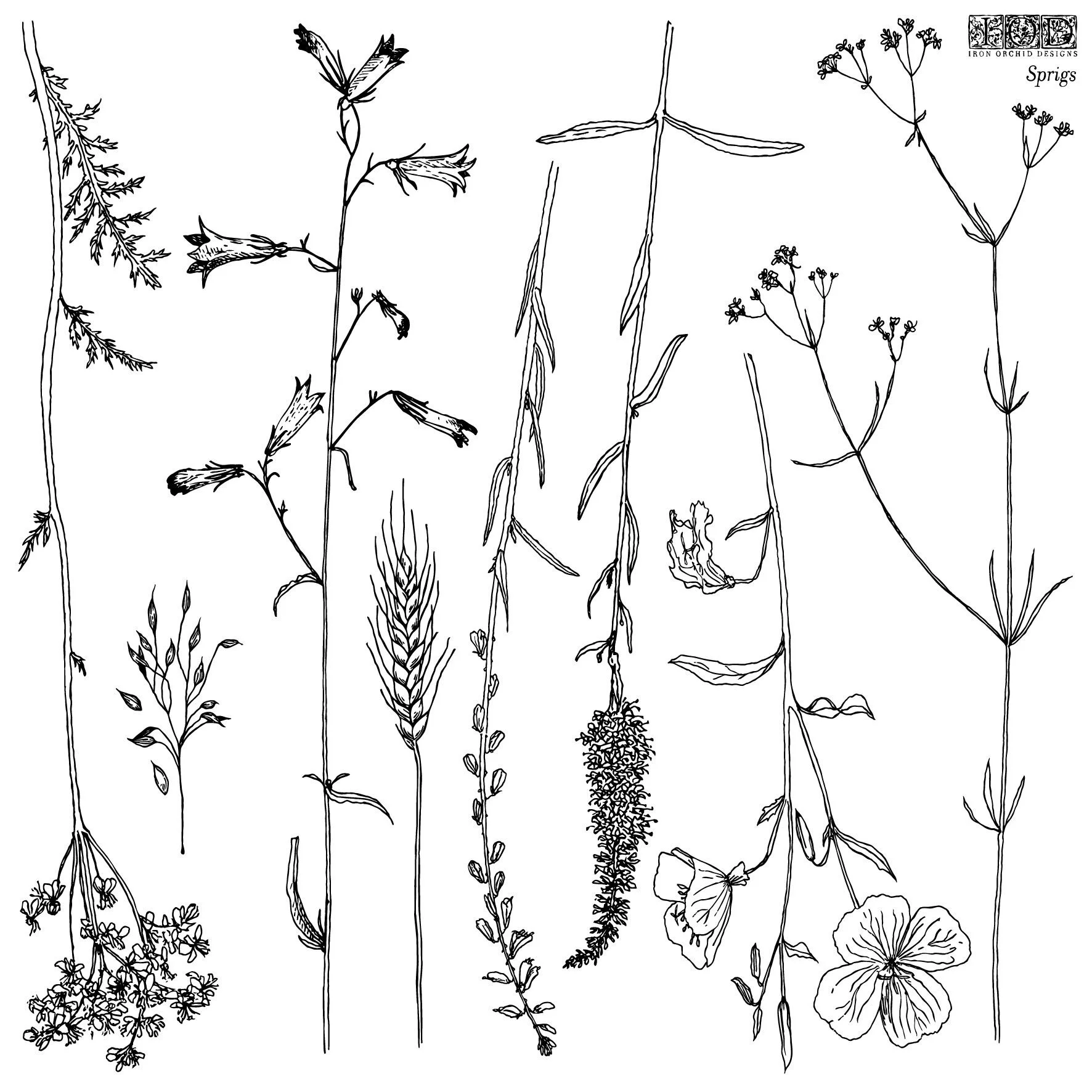 SPRIGS 12×12 IOD STAMP™