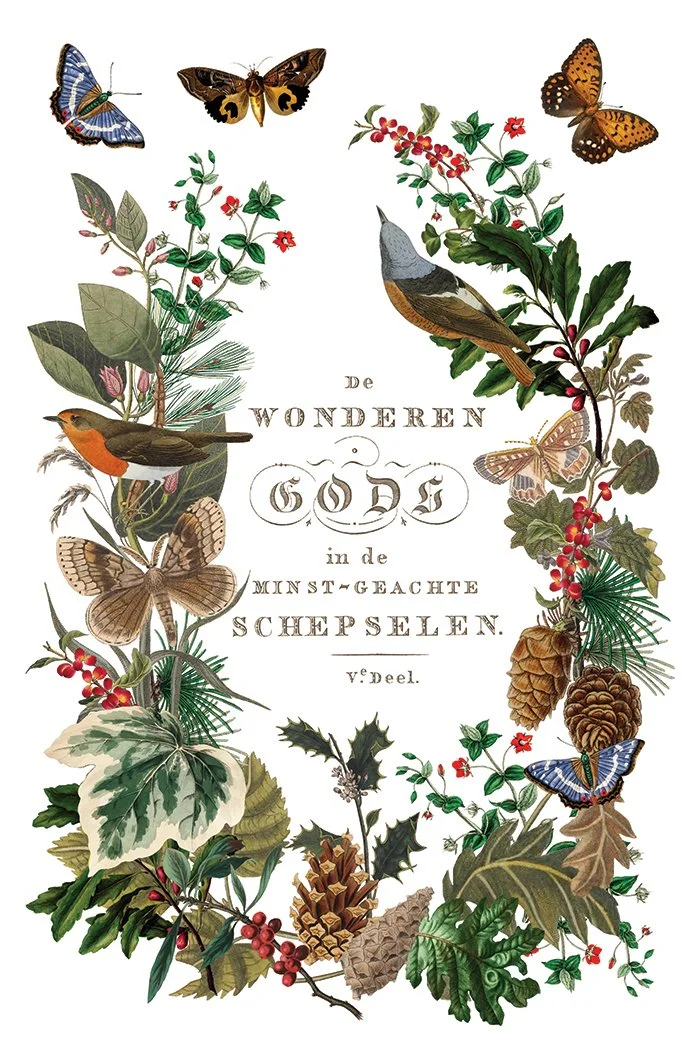 Copy of IOD-TRA-WBT Winter Botanist transfer artwork page 5 small.jpg