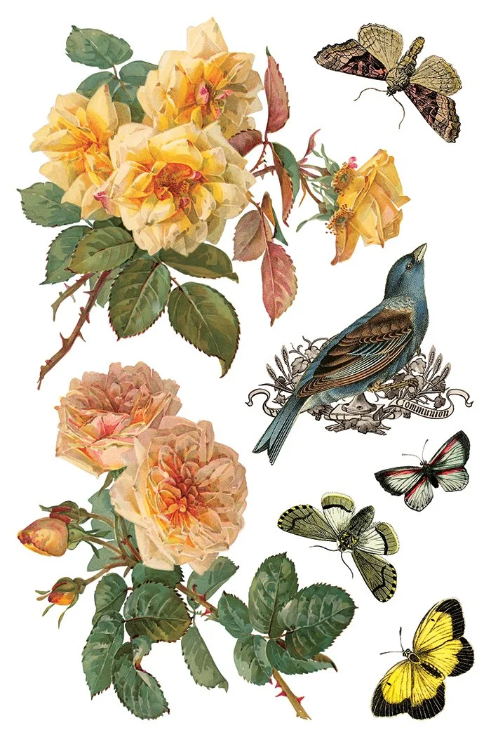 IOD-TRA-BYA By Any Other Name page 5 small.jpg