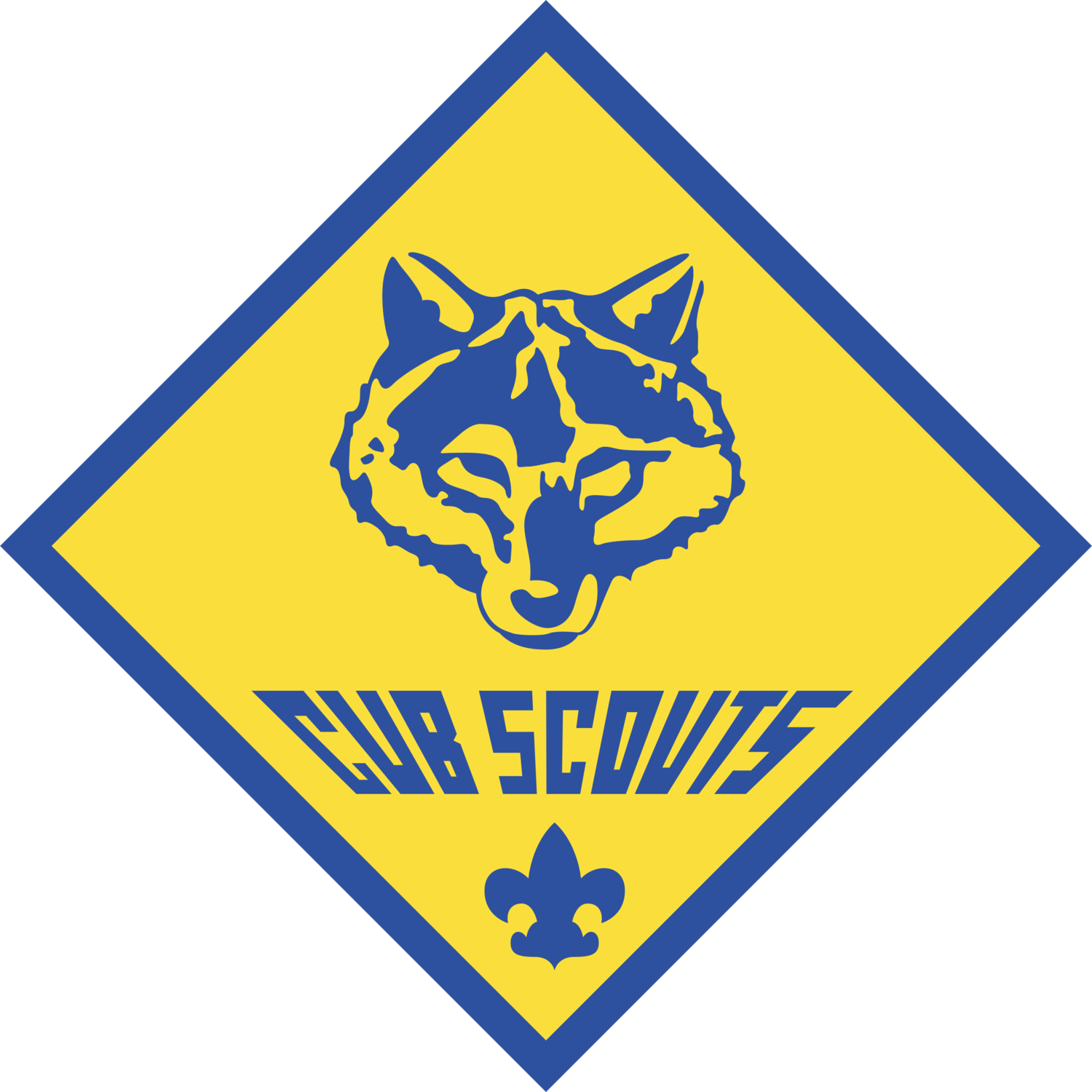 Portola Valley Cub Scouts Pack 163